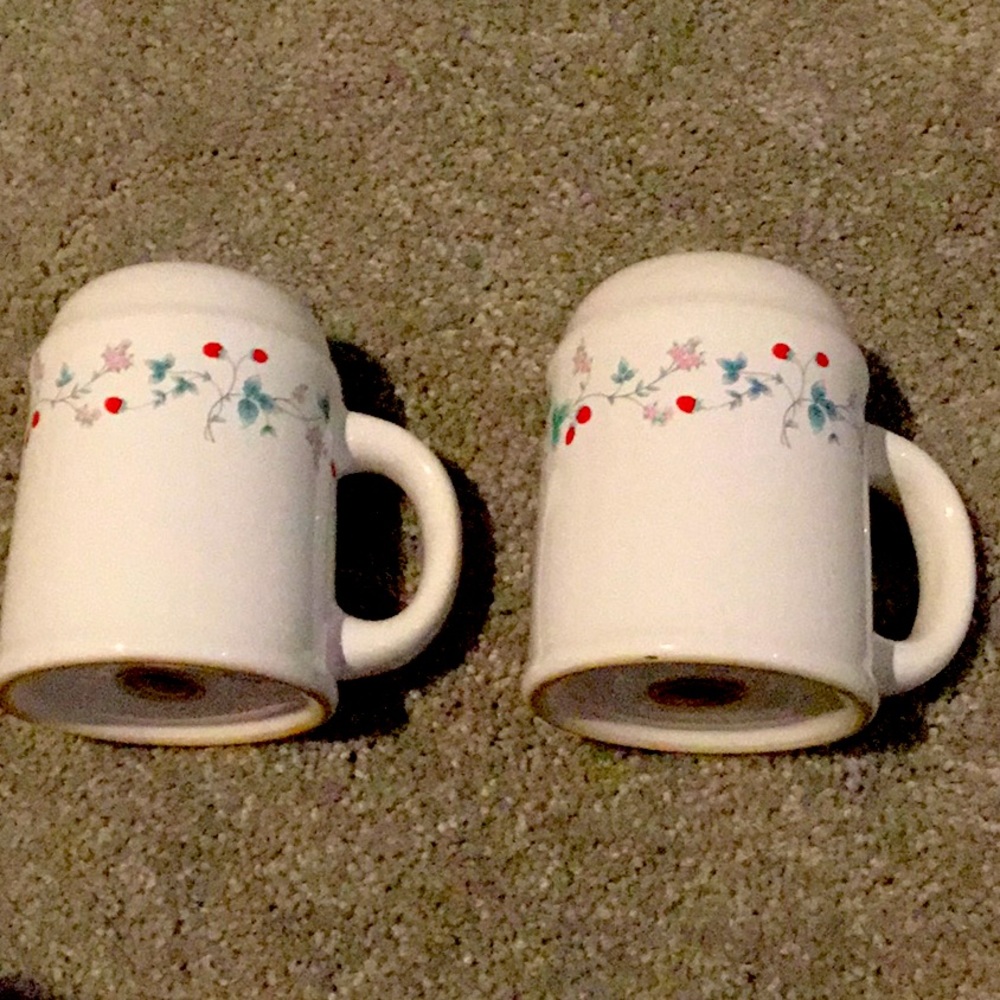 Summer Fruit Salt & Pepper Shakers Strawberries /Dainty pink flowers & leaves